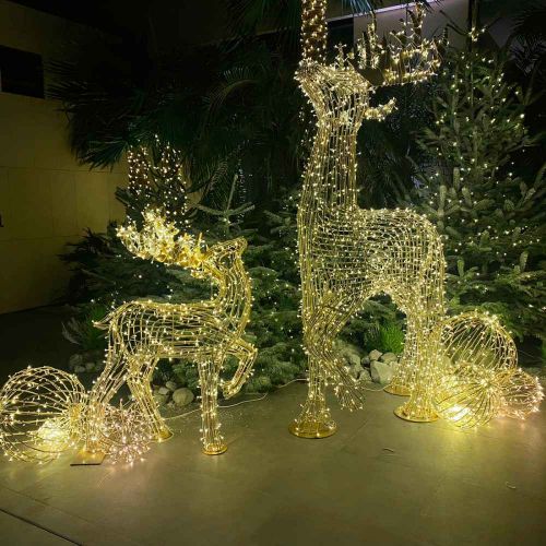 Festival Lighting Powered String Lights for Outdoor Spaces in Dubai
