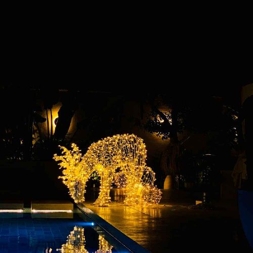 LED Festival String Lights Waterproof Outdoor Decorative Lighting for Parties and Holidays in Dubai